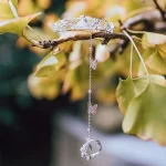 Rose Ring Butterfly Hand Chain Link with Open Hollow Bangle-3